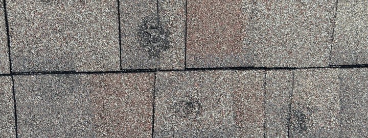 Asphalt Hail Damaged Roof