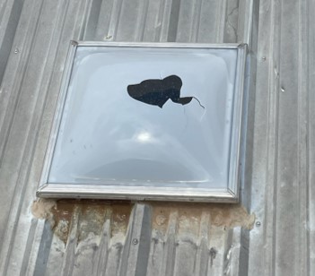 Skylight damage